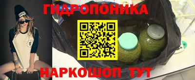 spice Гай
