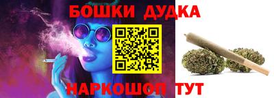 spice Гай