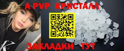 PSILOCYBIN Гагарин